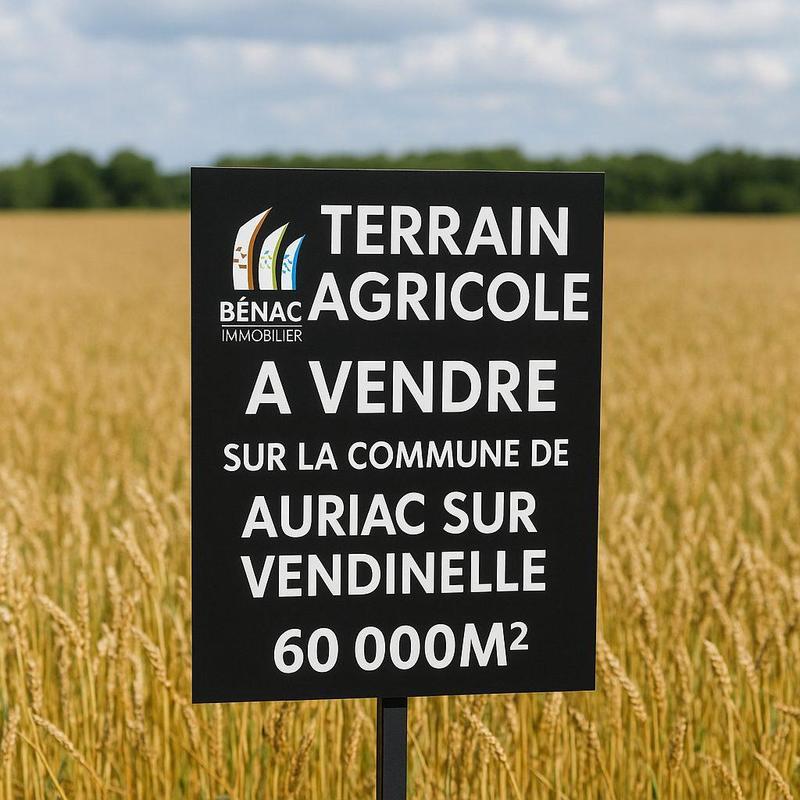 Terrain agricole - 60 489 m²