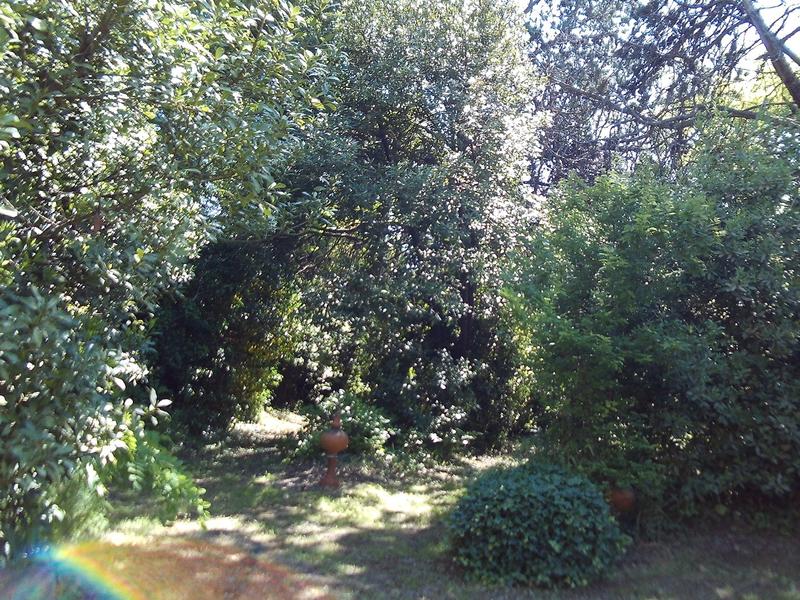 Maison bourgeoise - 183 m² - 6 pièces