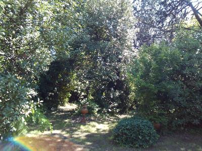 Maison bourgeoise - 183 m² - 6 pièces