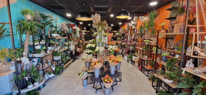 Fonds de commerce - Magasins - 185 m²