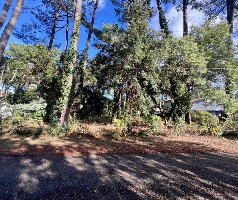 Terrain de golf - 1 434 m²