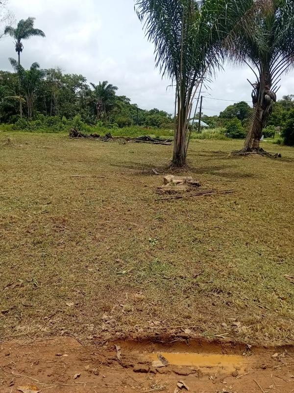 Terrain constructible - 3 000 m²