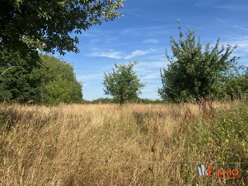 Ferme - 172 m² - 7 pièces