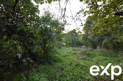 Maison - 70 m² - 1 pièce