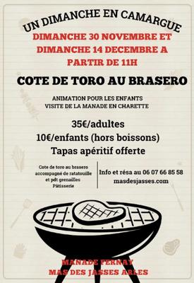 Un dimanche à la manade Fernay