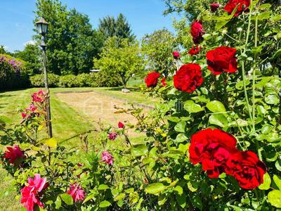 Maison - 134 m² - 7 pièces