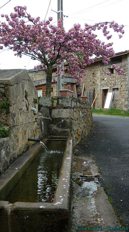 Maison - 89 m² - 5 pièces