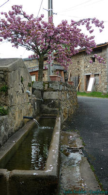 Maison - 89 m² - 5 pièces