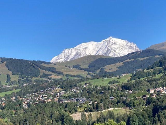 Châlet - 252 m² - 7 pièces