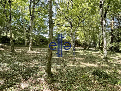 Maison - 244 m² - 10 pièces