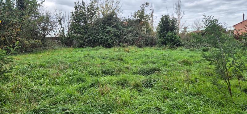 Terrain constructible - 1 106 m²