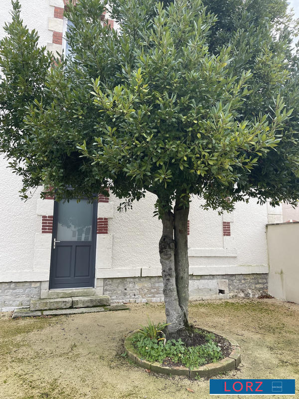 Appartement - 79 m² - 3 pièces