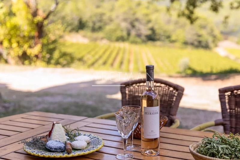 Propriété - 360 m² - 10 pièces