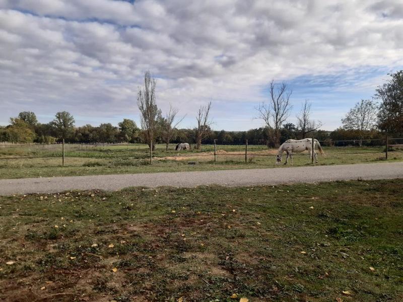 Corps de ferme - 205 m² - 6 pièces