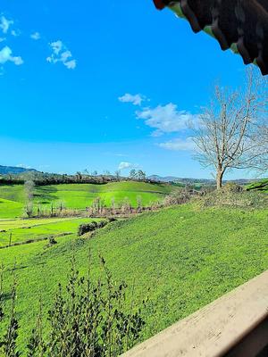 Ferme - 149 m² - 5 pièces