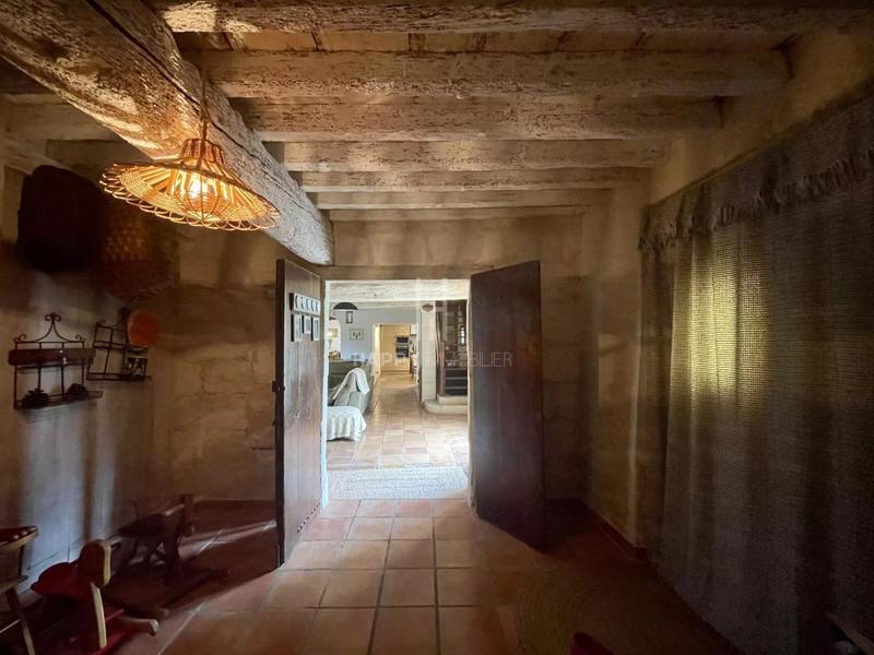 Mas - 450 m² - 5 pièces