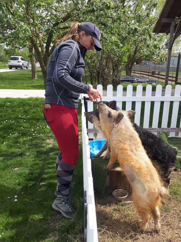 Visite libre aux animaux de la ferme Kieffer