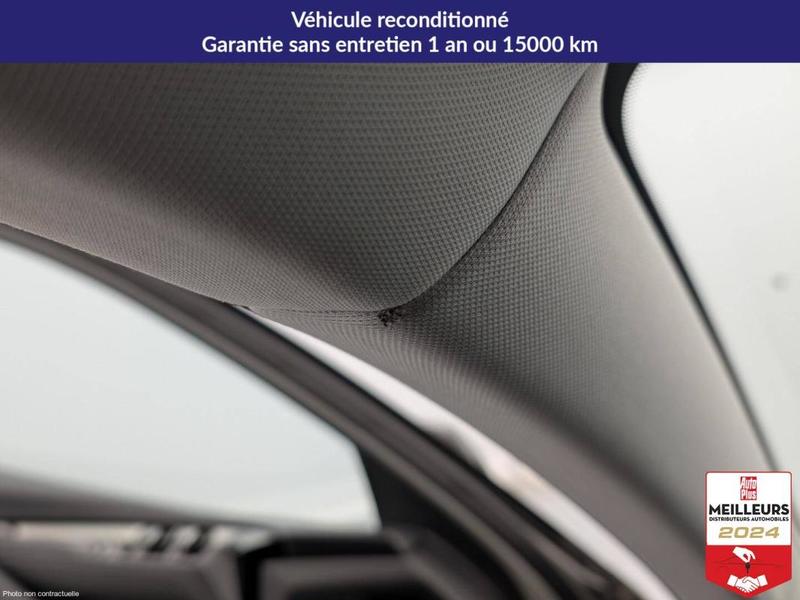 Ds Ds 4 Ds4 Hybride E-Tense 225 Eat8 Cross Trocadero