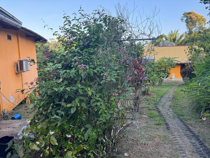 Maison - 167 m² - 3 pièces