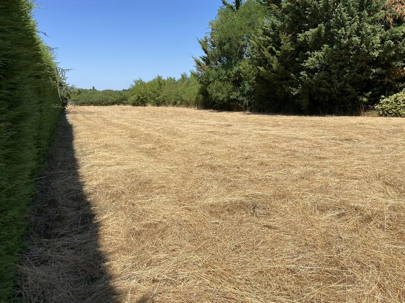 Terrain constructible - 1 521 m²