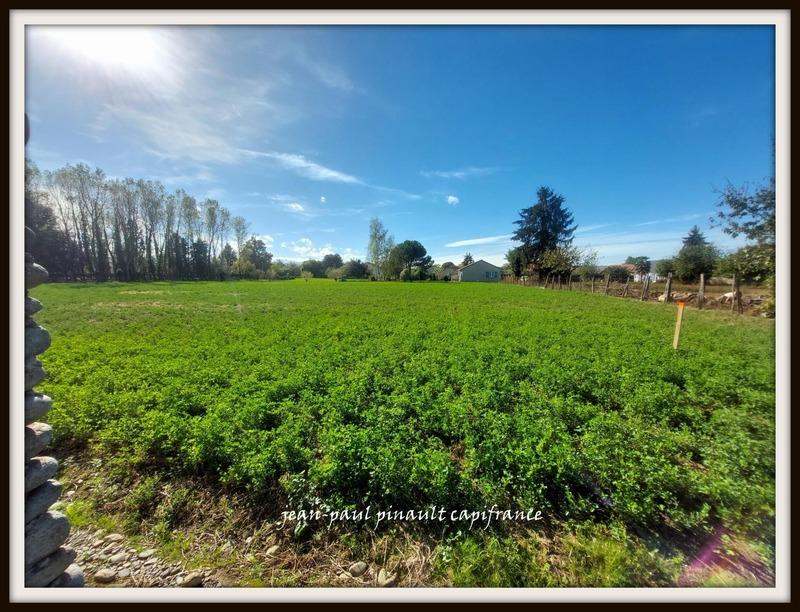 Terrain constructible - 2 165 m²