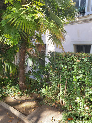 Bureau - 169 m² - 5 pièces