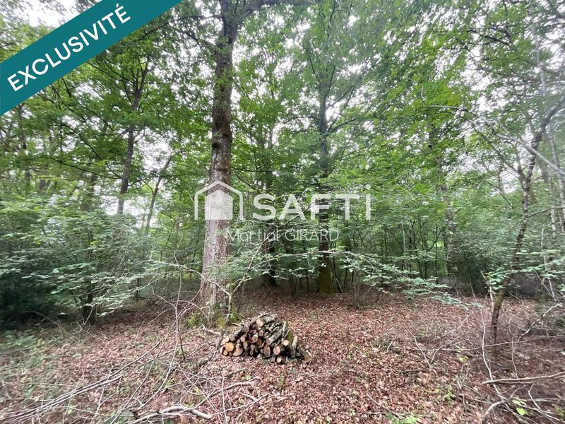 Terrain - 14 771 m²