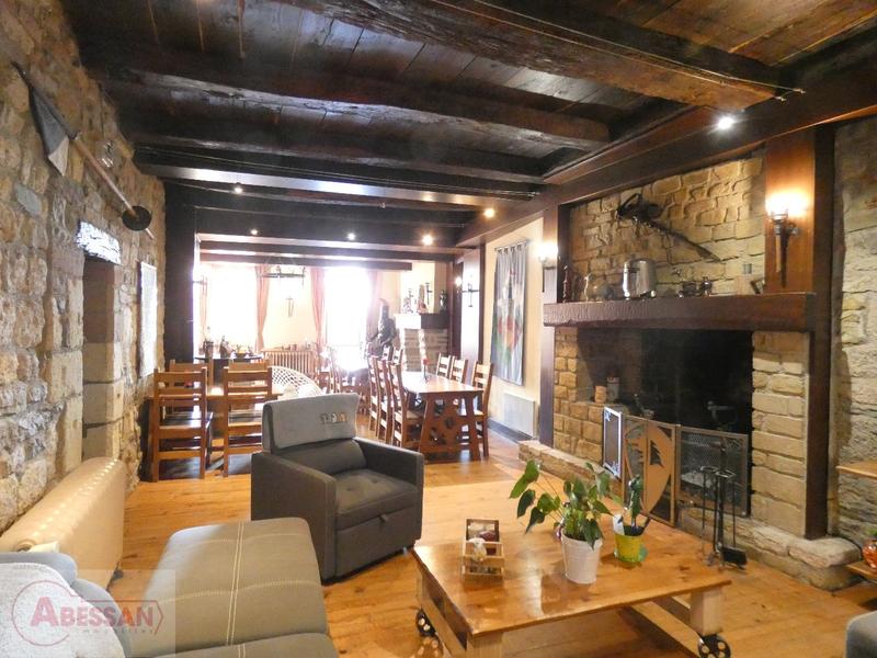 Maison - 560 m² - 13 pièces