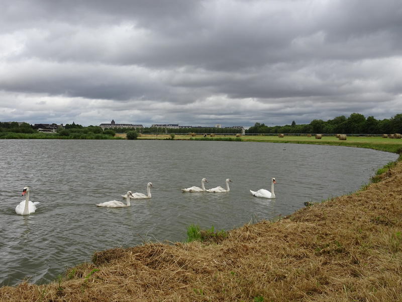 La Prairie de Caen, les pieds dans l’eau !
