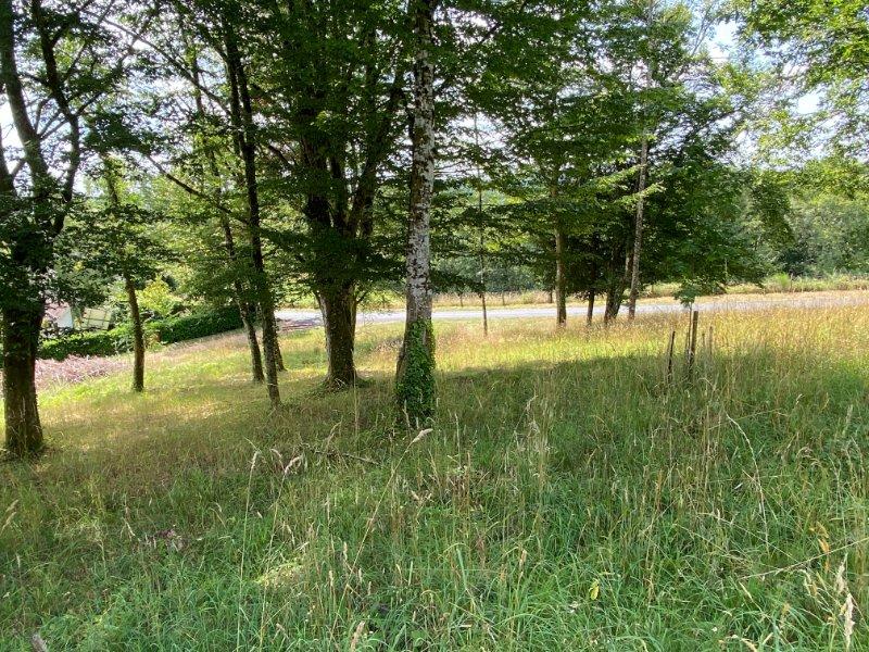 Terrain constructible - 2 281 m²