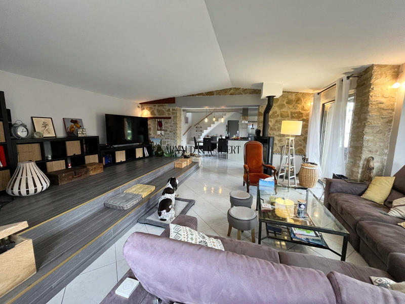 Maison ancienne - 238 m² - 8 pièces