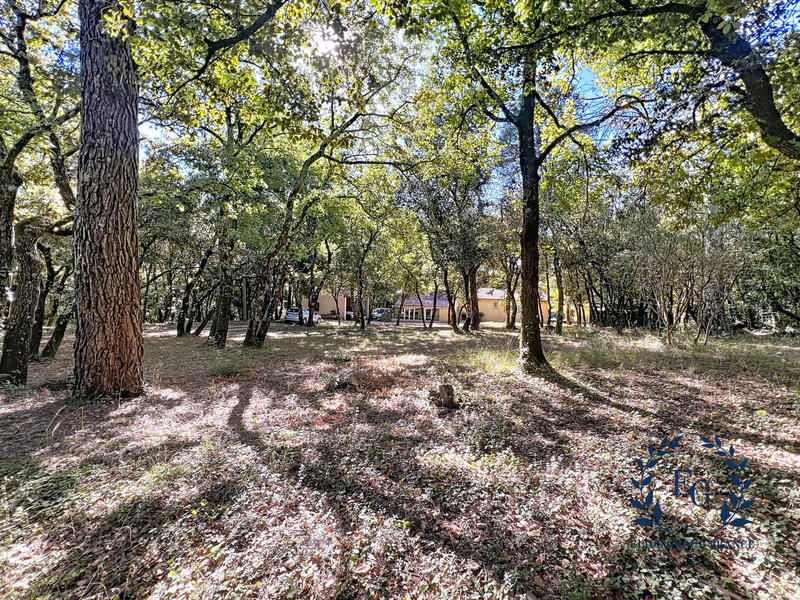 Maison - 136 m² - 6 pièces