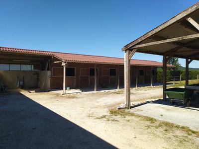 Maison de domaine équestre - 232 m² - 6 pièces