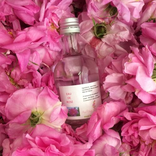 Domaine du Mas de l'Olivine