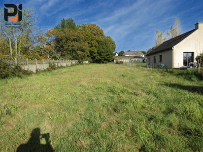 Terrain - 1 649 m²