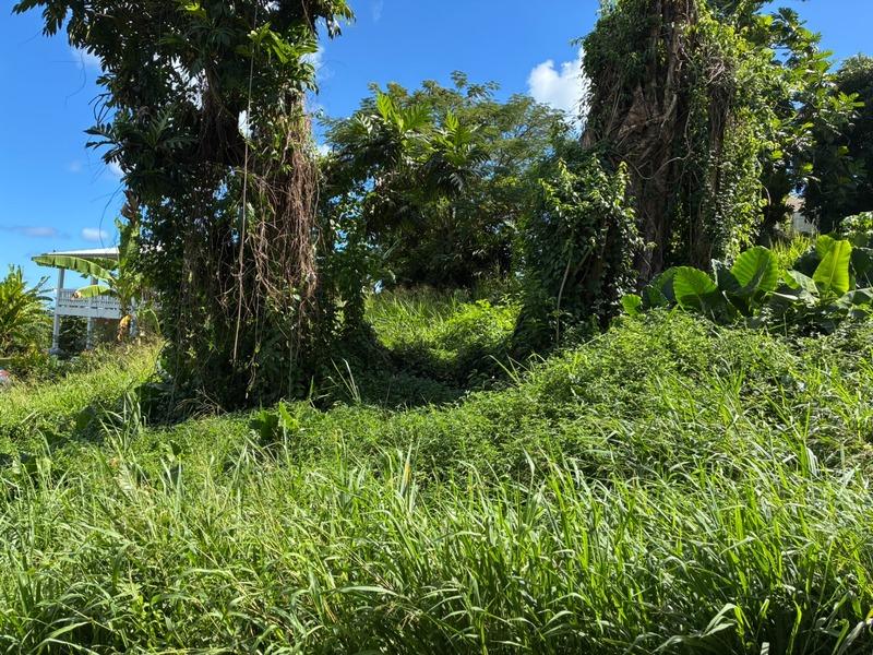 Terrain constructible - 1 075 m²