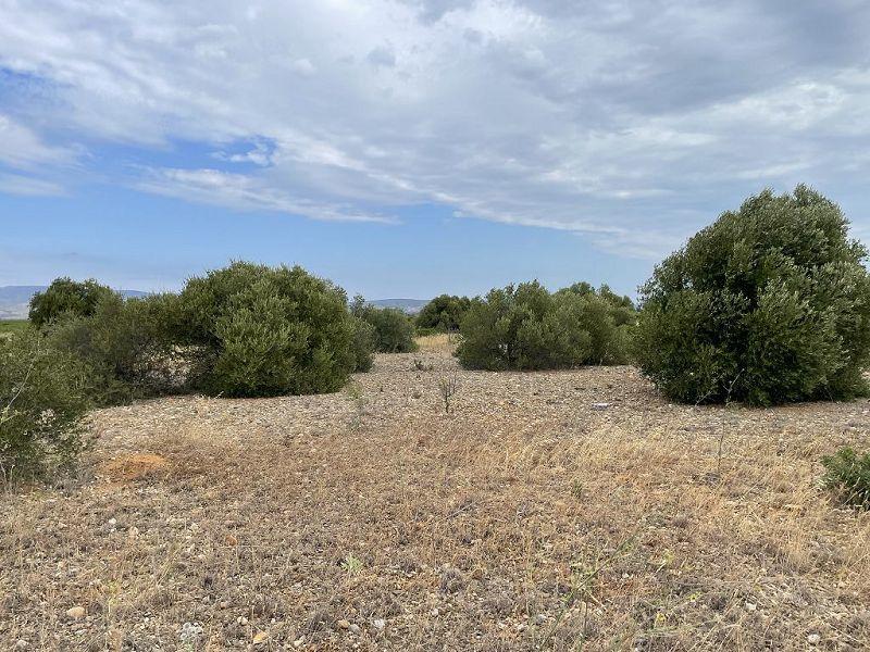 Terrain - 21 115 m²