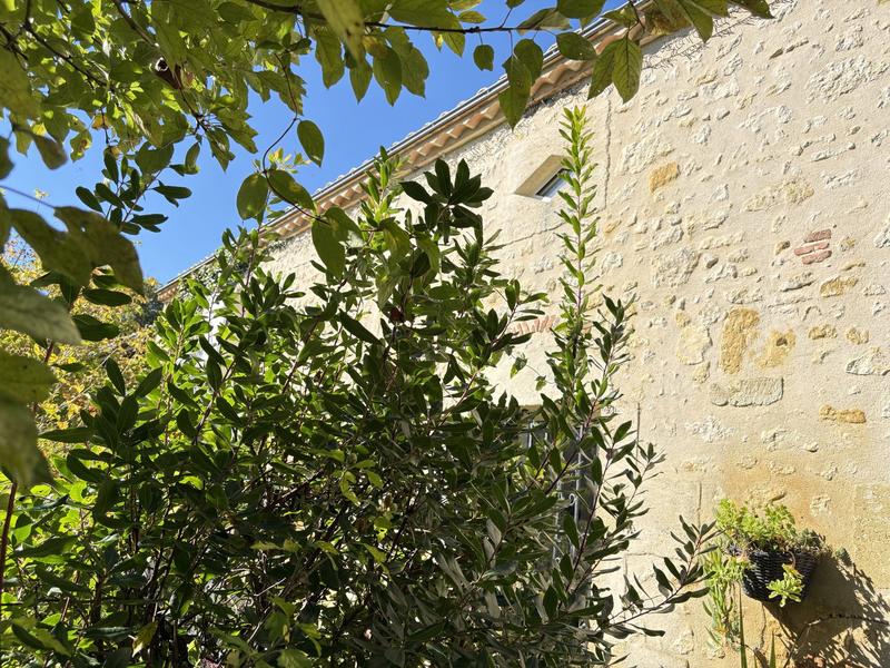 Maison - 326 m² - 10 pièces