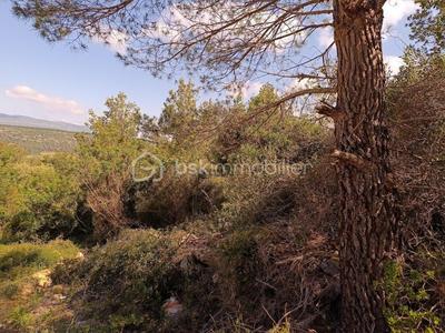 Terrain agricole - 2 045 m²