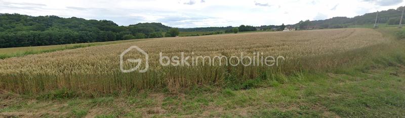Terrain agricole - 9 600 m²