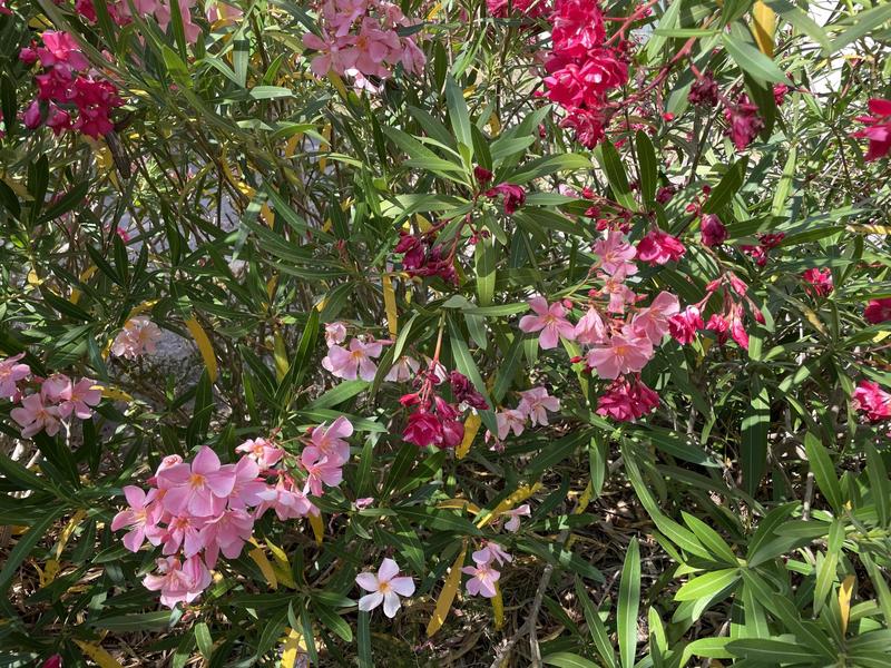 Villa - 192 m² - 7 pièces