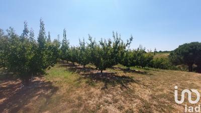 Terrain agricole - 8 467 m²