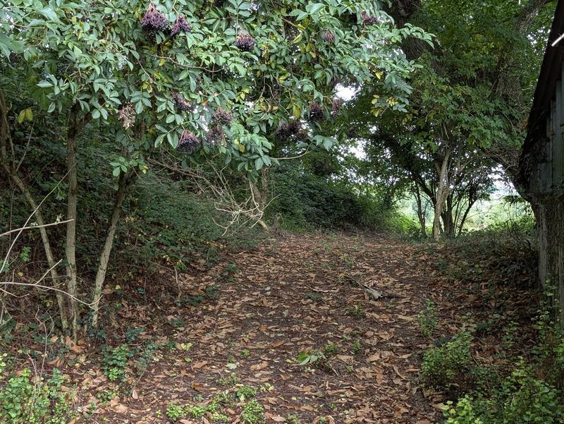 Maison ancienne - 6 pièces