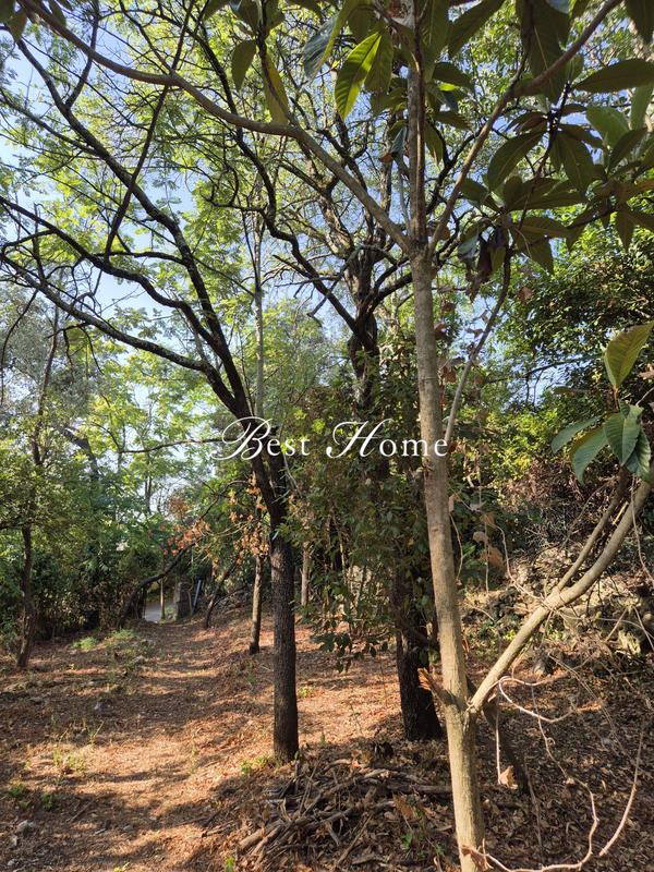 Maison - 25 m² - 2 pièces