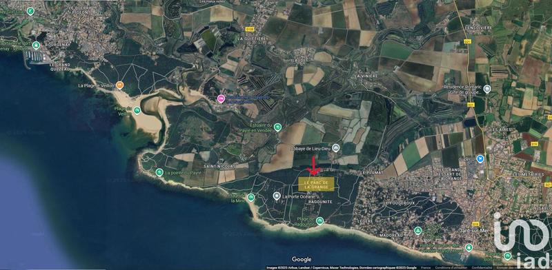 Appartement - 55 m² - 2 pièces