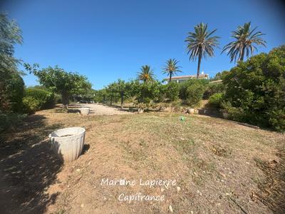 Terrain constructible - 1 000 m²