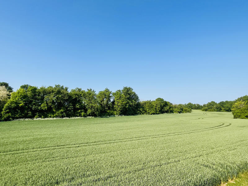 Maison - 193 m² - 6 pièces