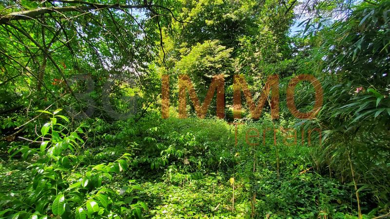 Terrain constructible - 3 313 m²