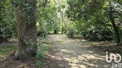 Château - 577 m² - 8 pièces