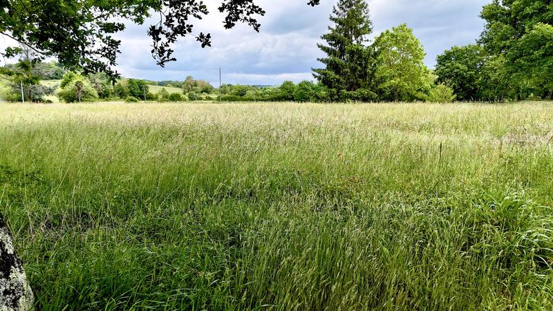 Terrain constructible - 1 500 m²